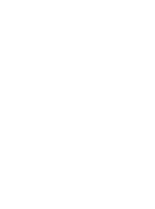Logo Sandlers Show